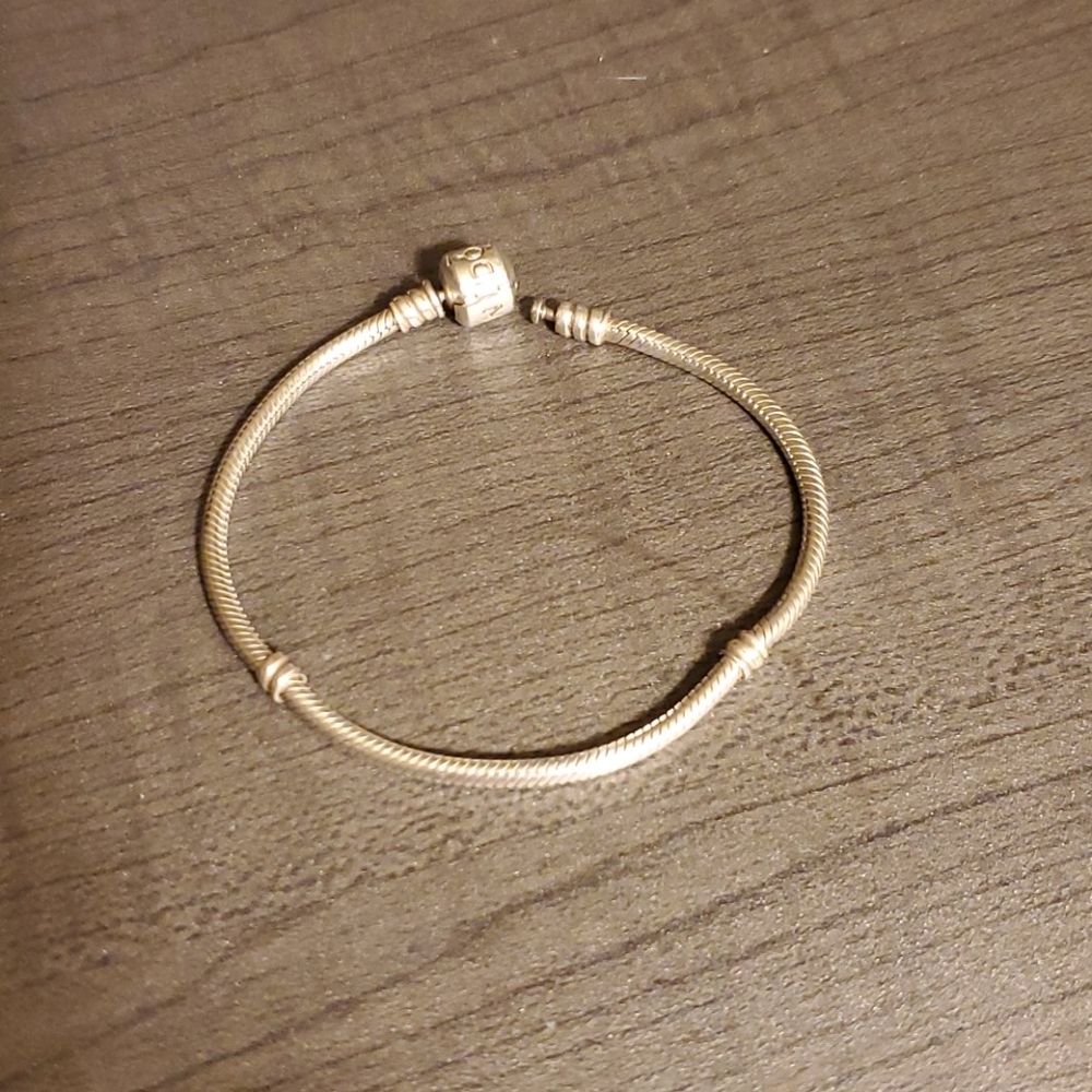 Pandora Charm Bracelet